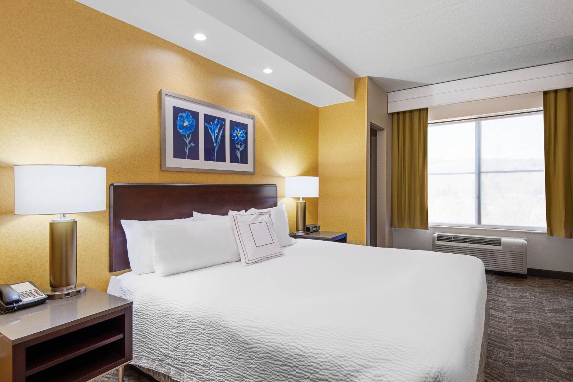 Springhill Suites By Marriott Wheeling Triadelphia Area Eksteriør bilde